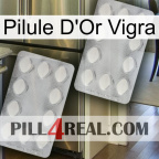 Vigra Gold Pill 17